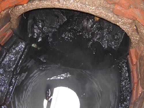 涡阳污水/雨水井清理